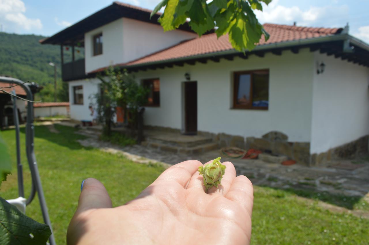 Guest House Yana Tŭrkasheni Eksteriør bilde